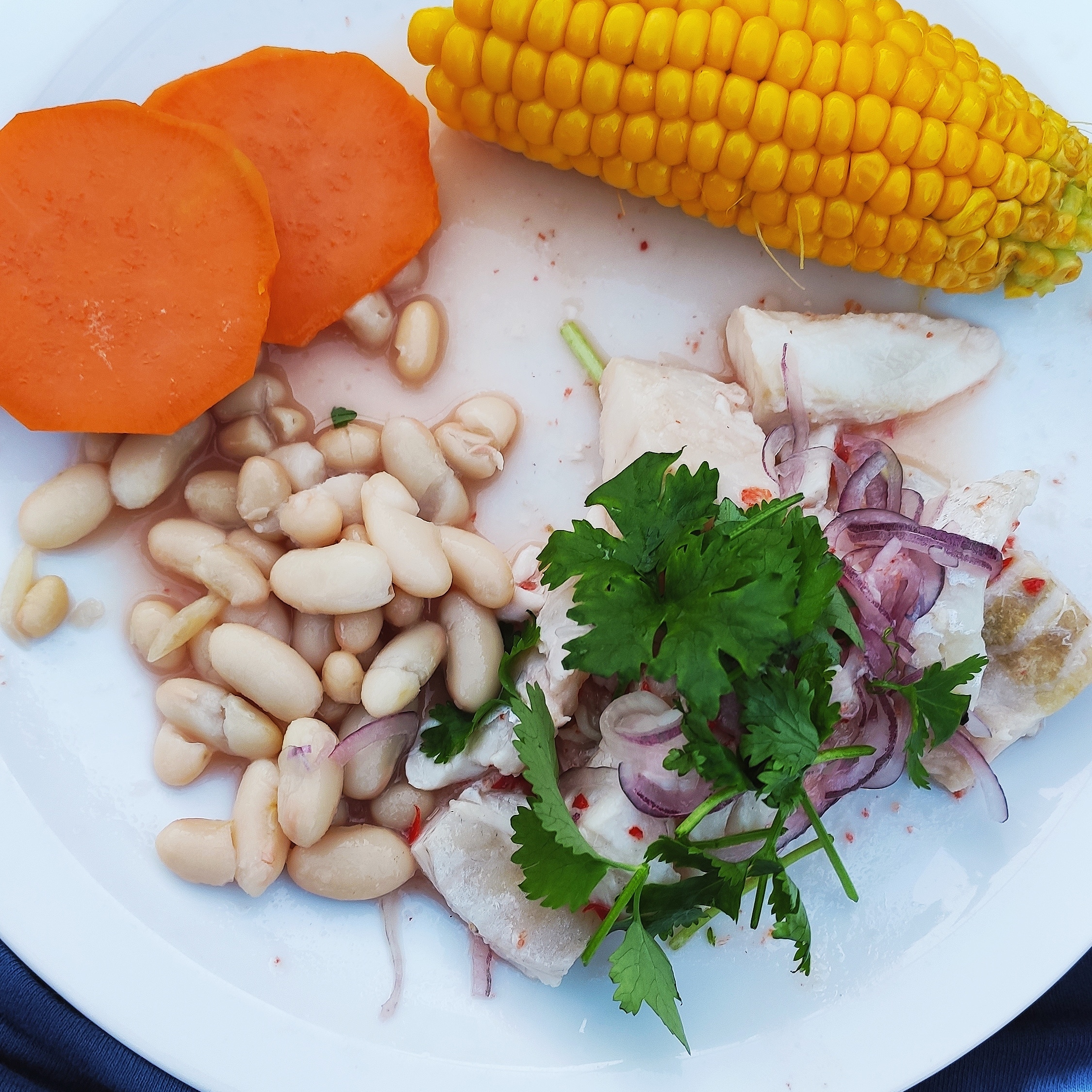 Hapklaaradvies - Ceviche 